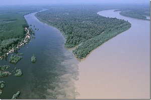 Manaus onde visitar
