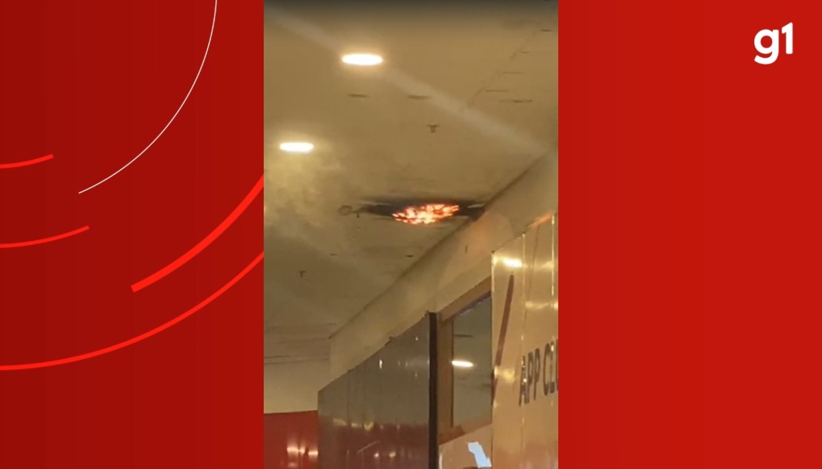 foto Not&iacute;cia Manaus