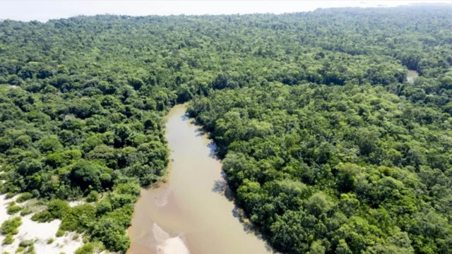 foto Not&iacute;cia Manaus
