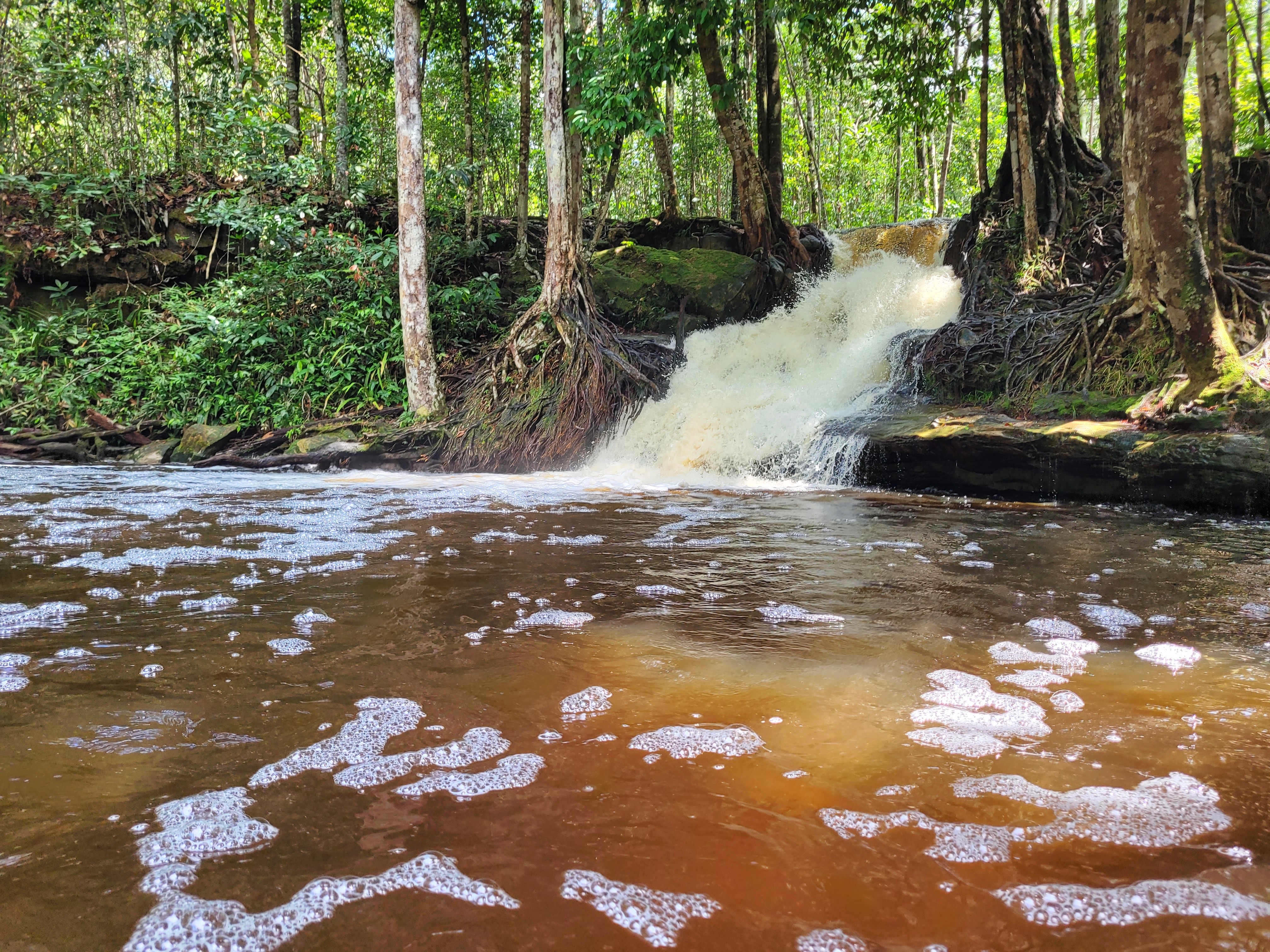 foto Not&iacute;cia Manaus